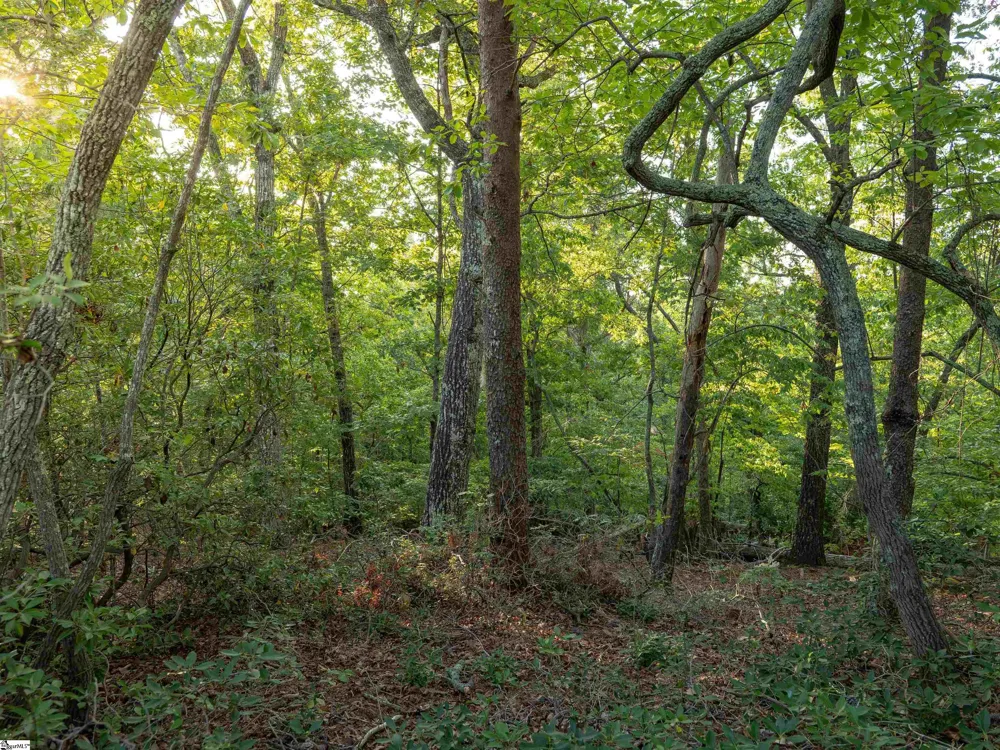 00 Anthony Road Pickens, SC 29671