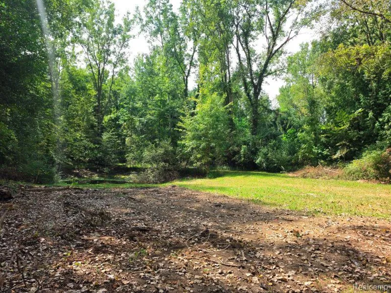3897 Swaffer Road Millington Township, MI 48746