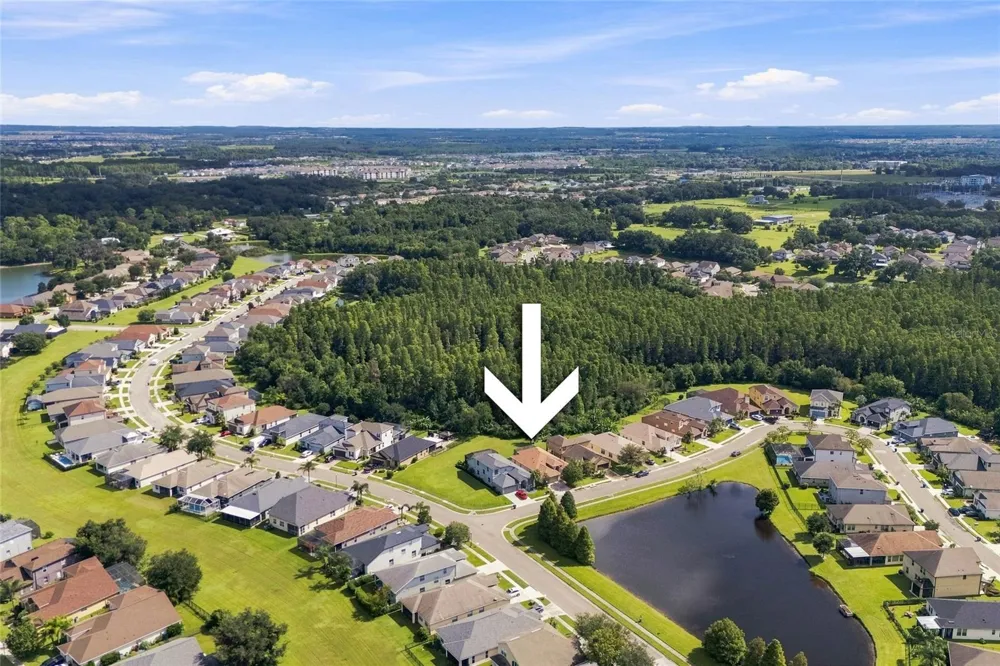 30608 PECAN VALLEY LOOP Wesley Chapel, FL 33543
