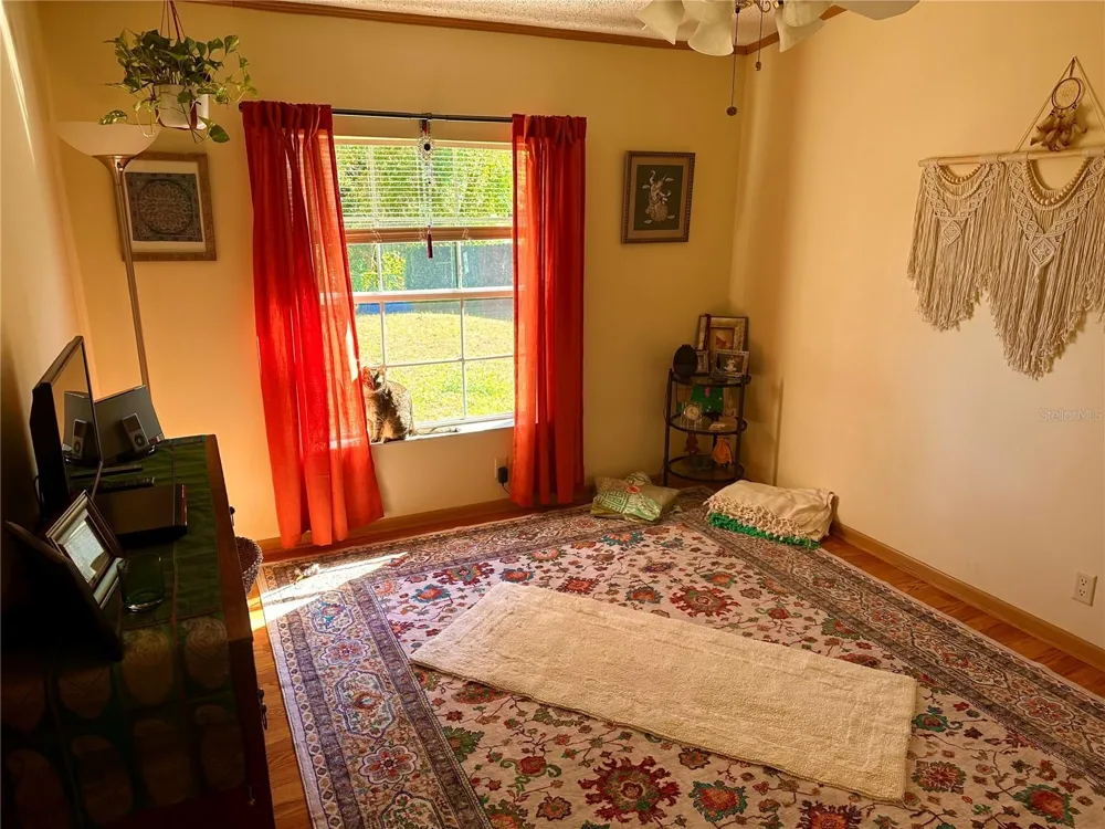 8930 EHREN CUTOFF Land O Lakes, FL 34639