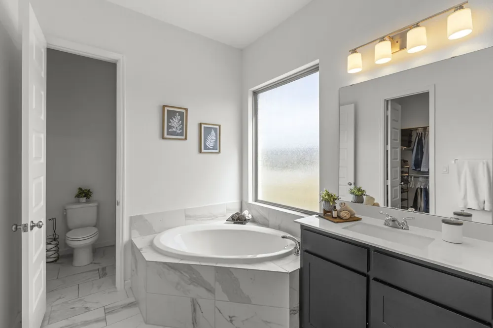 229 Bluff Creek Lane Georgetown, TX 78628