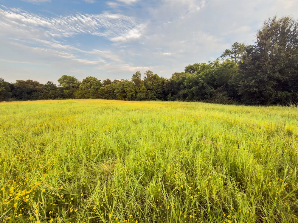 Wilson Road Waco, TX 76705