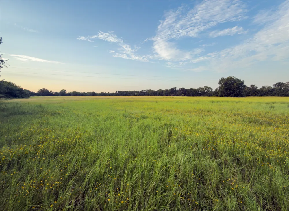 Wilson Road Waco, TX 76705