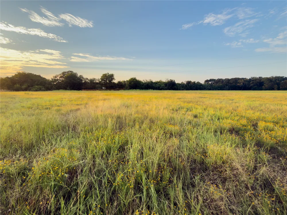 Wilson Road Waco, TX 76705