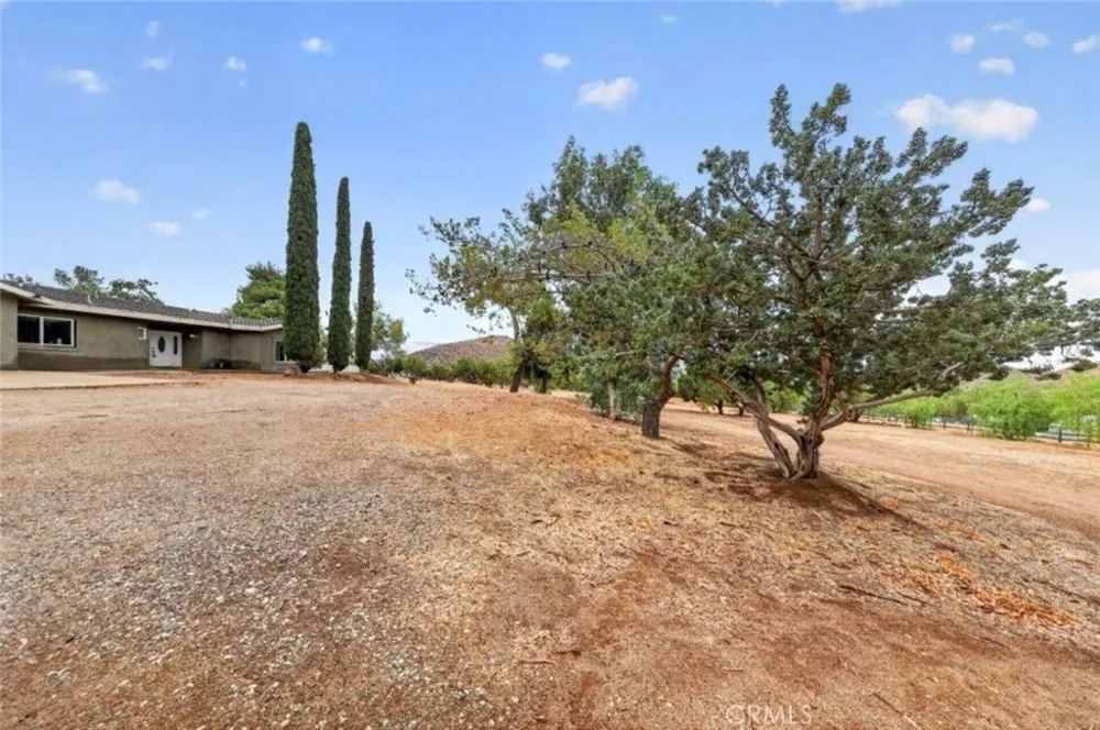 34716 Violan Street Acton, CA 93510