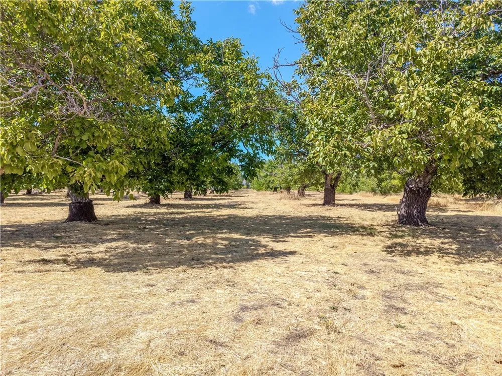 1860 Hummel Lane Kelseyville, CA 95451