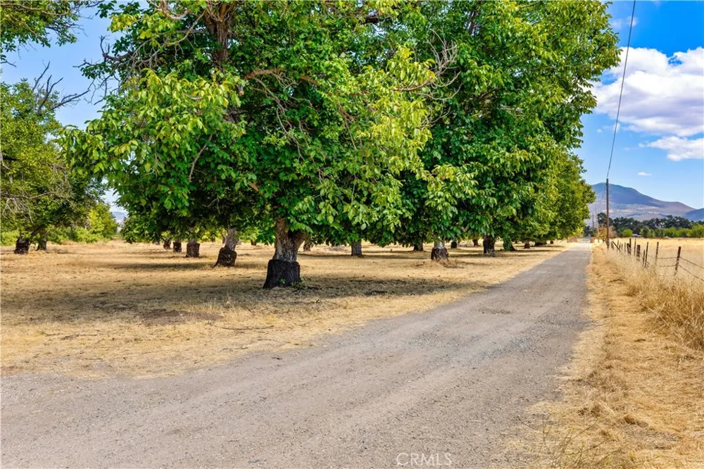 1860 Hummel Lane Kelseyville, CA 95451