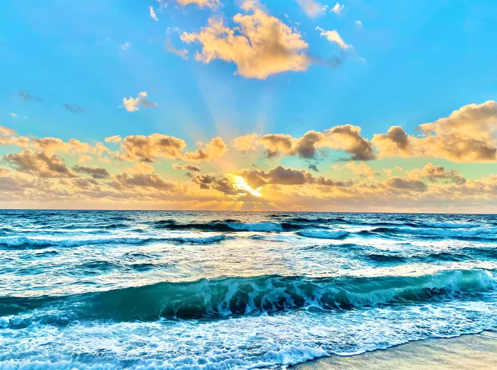 950 Ponce De Leon Road #104 Boca Raton, FL 33432