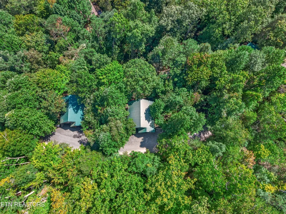 550 Wildwood Forest Way #5 Sevierville, TN 37876