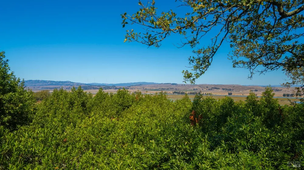 2312 Laguna Vista Drive Novato, CA 94945