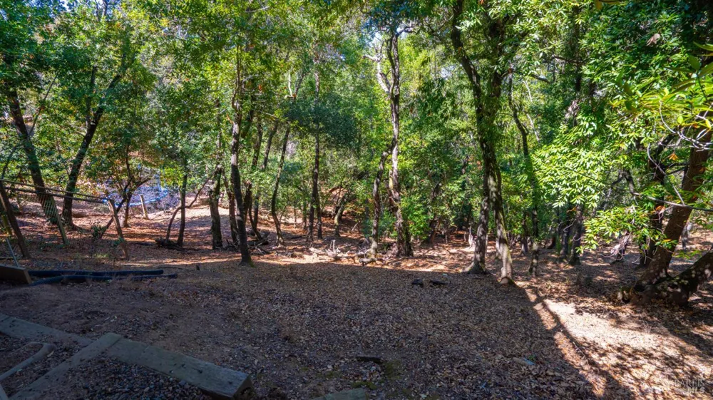 2312 Laguna Vista Drive Novato, CA 94945