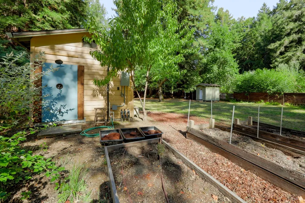 10131 Hwy 116 Forestville, CA 95436