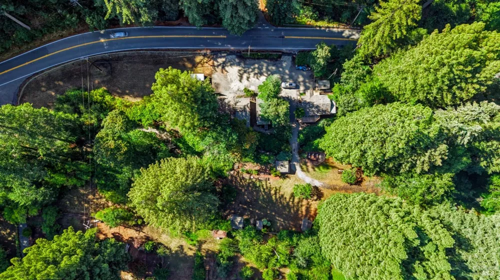 10131 Hwy 116 Forestville, CA 95436