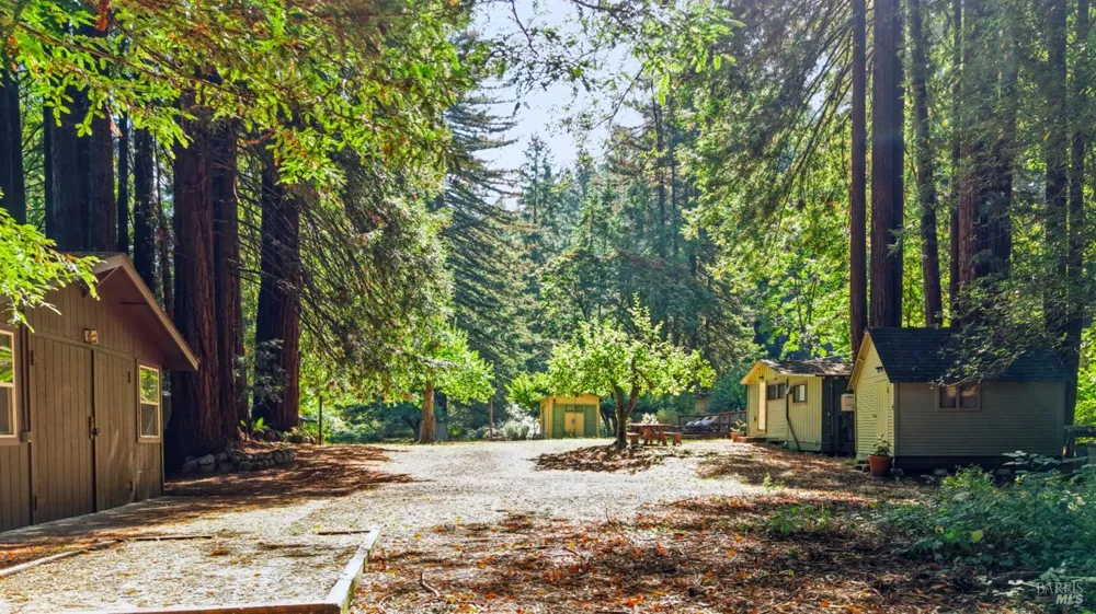 10131 Hwy 116 Forestville, CA 95436