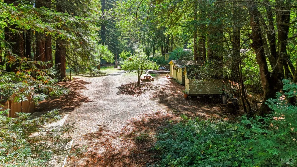 10131 Hwy 116 Forestville, CA 95436