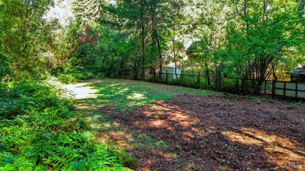 10131 Hwy 116 Forestville, CA 95436