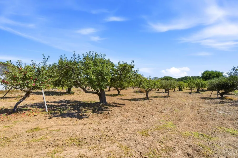 815 Blessing Way Sebastopol, CA 95472