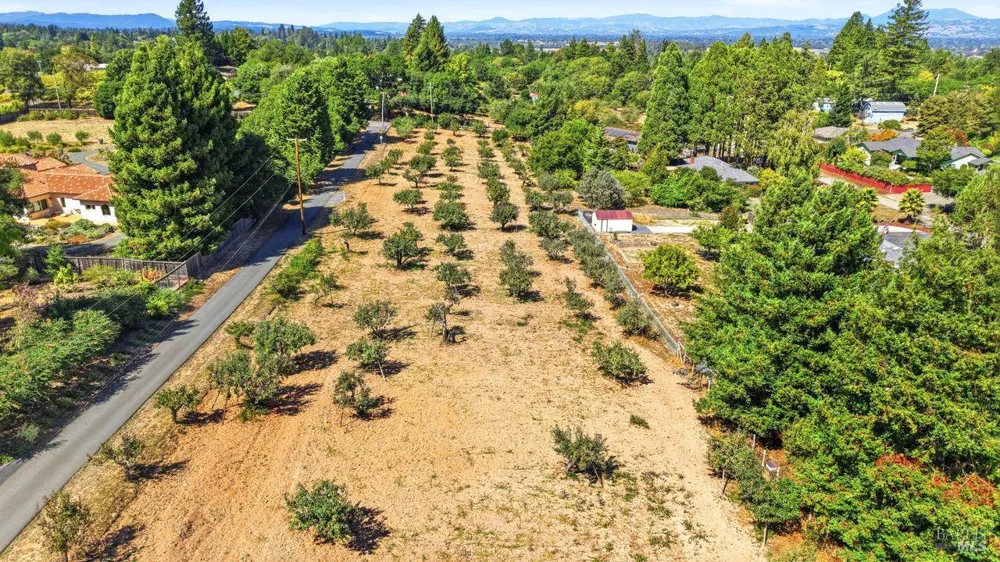 815 Blessing Way Sebastopol, CA 95472