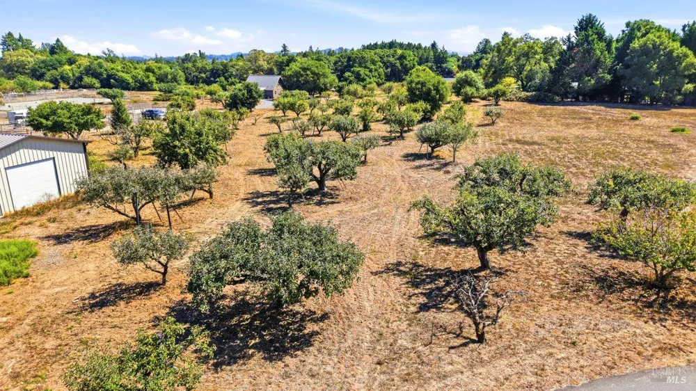 815 Blessing Way Sebastopol, CA 95472
