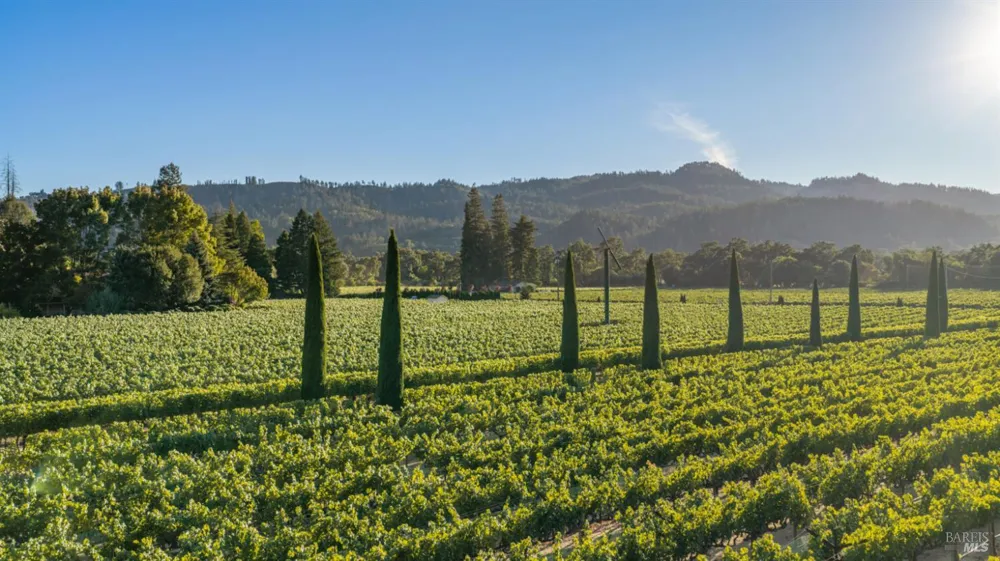 3242 Silverado Trail St. Helena, CA 94574