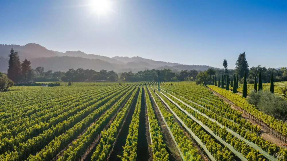 3242 Silverado Trail St. Helena, CA 94574