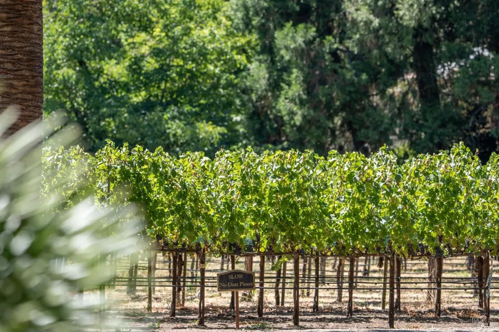 3242 Silverado Trail St. Helena, CA 94574