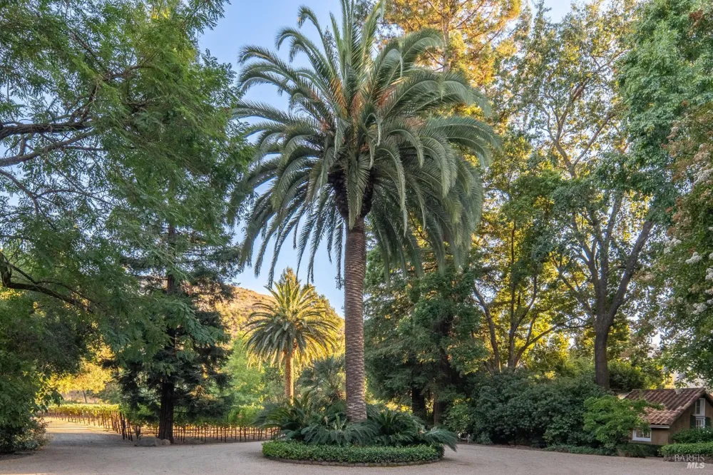 3242 Silverado Trail St. Helena, CA 94574
