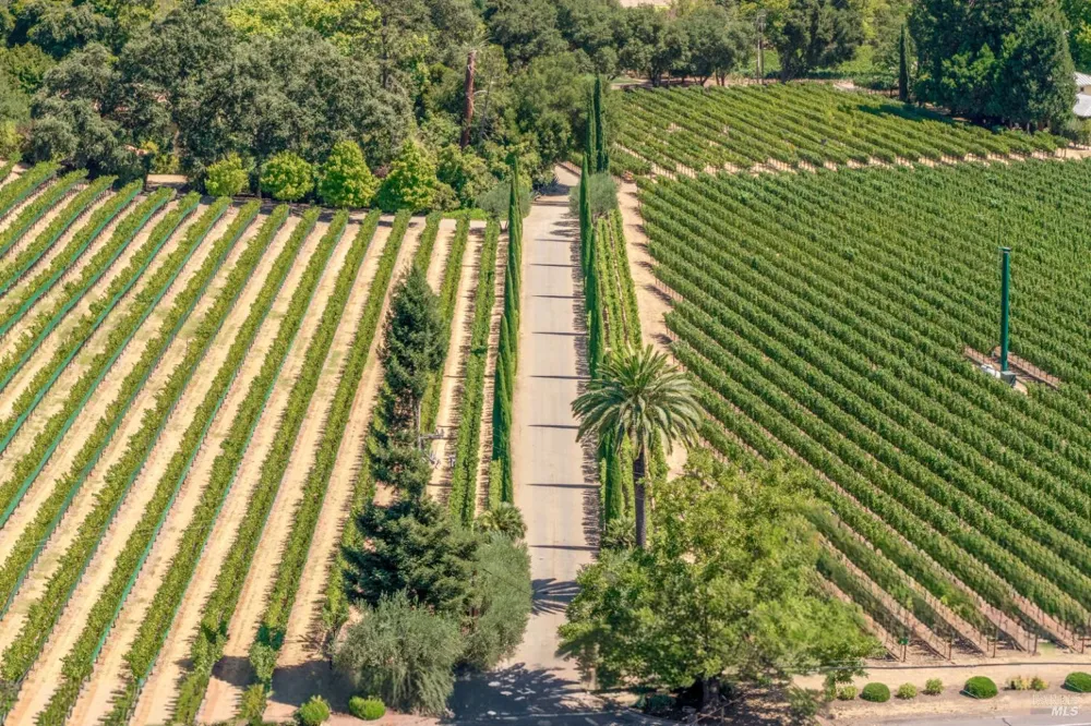 3242 Silverado Trail St. Helena, CA 94574