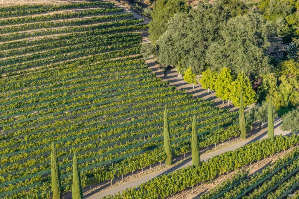 3242 Silverado Trail St. Helena, CA 94574