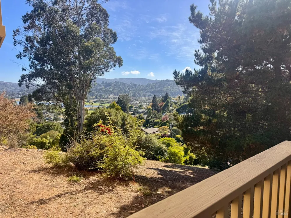8 Chaucer Court Mill Valley, CA 94941