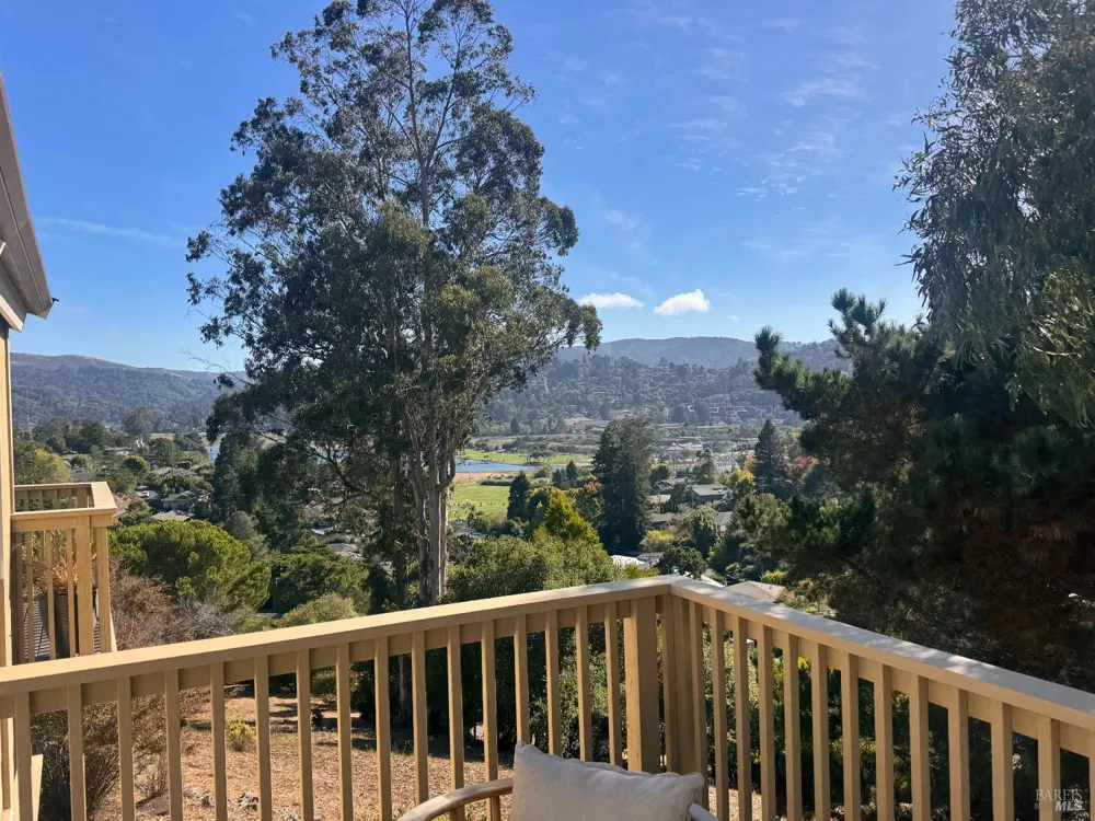 8 Chaucer Court Mill Valley, CA 94941
