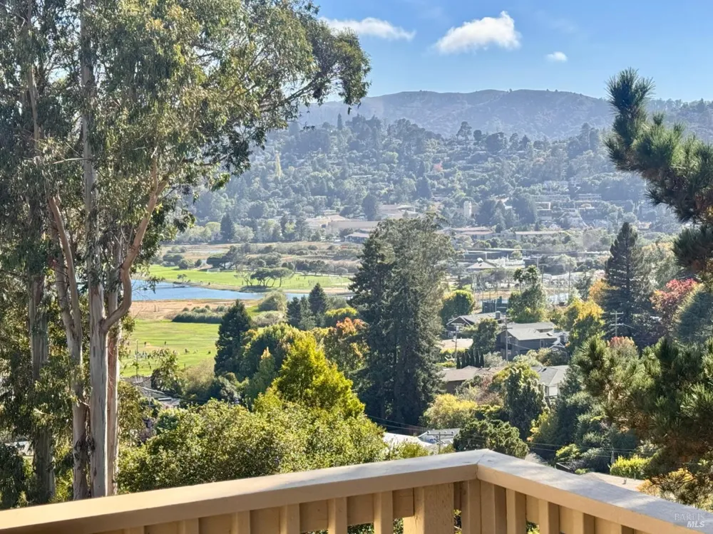 8 Chaucer Court Mill Valley, CA 94941