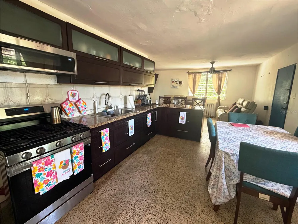 157-C 1st St MAMEYAL COMM. Dorado, PR 00646
