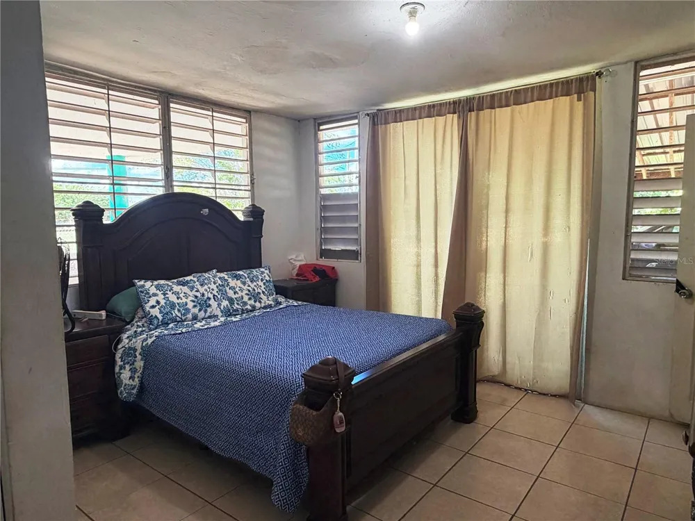 157-C 1st St MAMEYAL COMM. Dorado, PR 00646