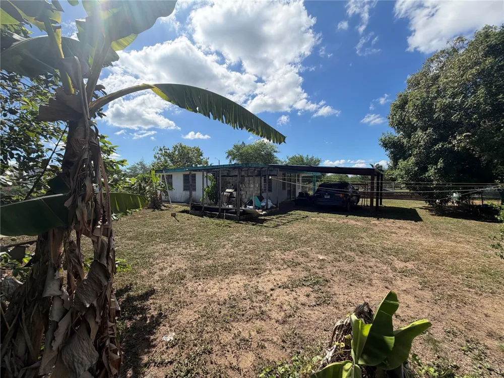 157-C 1st St MAMEYAL COMM. Dorado, PR 00646