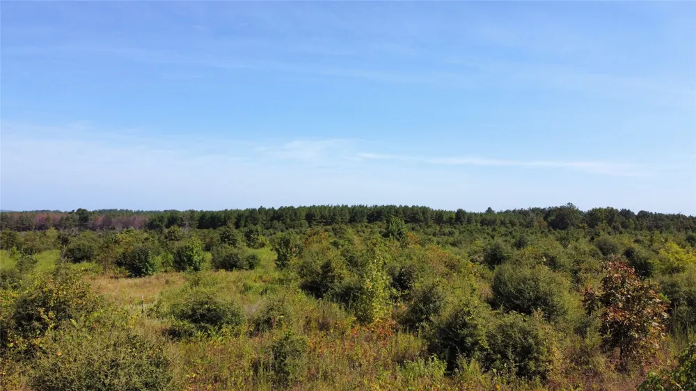 9515 County Road 817 Cushing, TX 75964