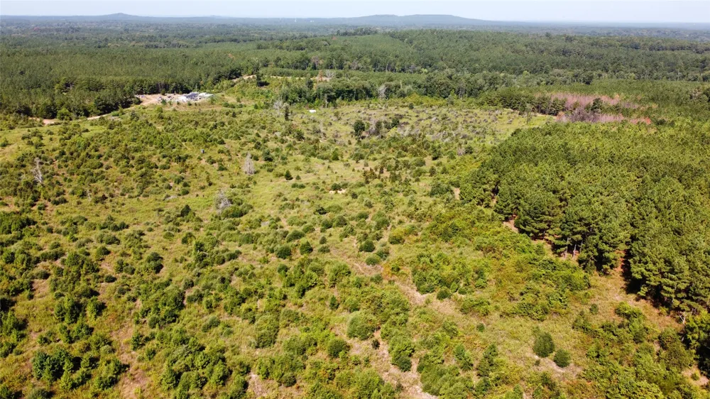 9515 County Road 817 Cushing, TX 75964