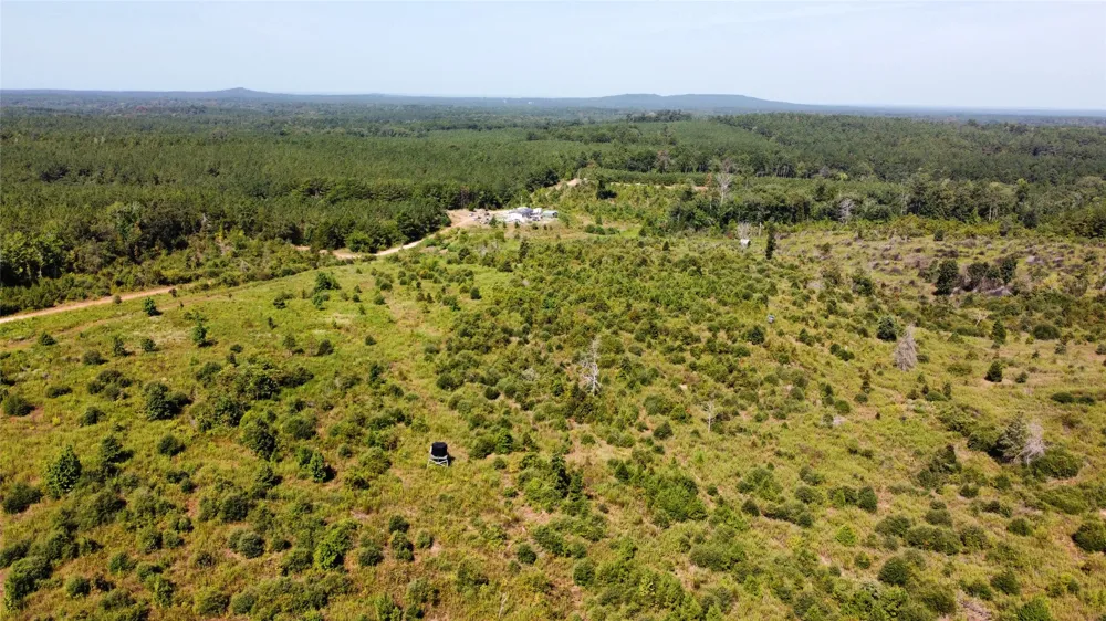 9515 County Road 817 Cushing, TX 75964