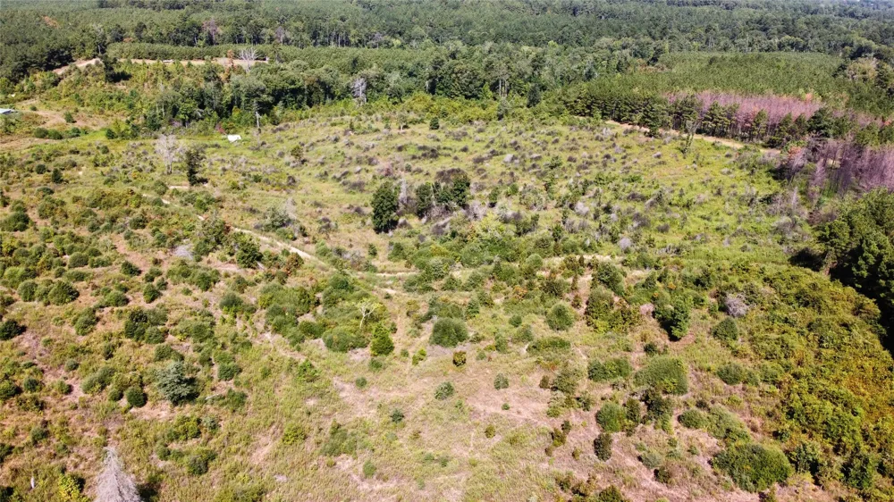 9515 County Road 817 Cushing, TX 75964