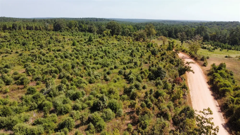 9515 County Road 817 Cushing, TX 75964