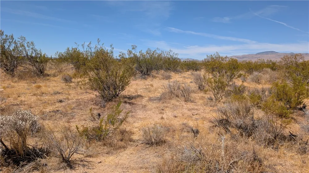 80th Street West Rosamond, CA 93501