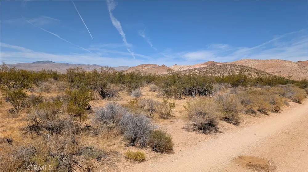 80th Street West Rosamond, CA 93501