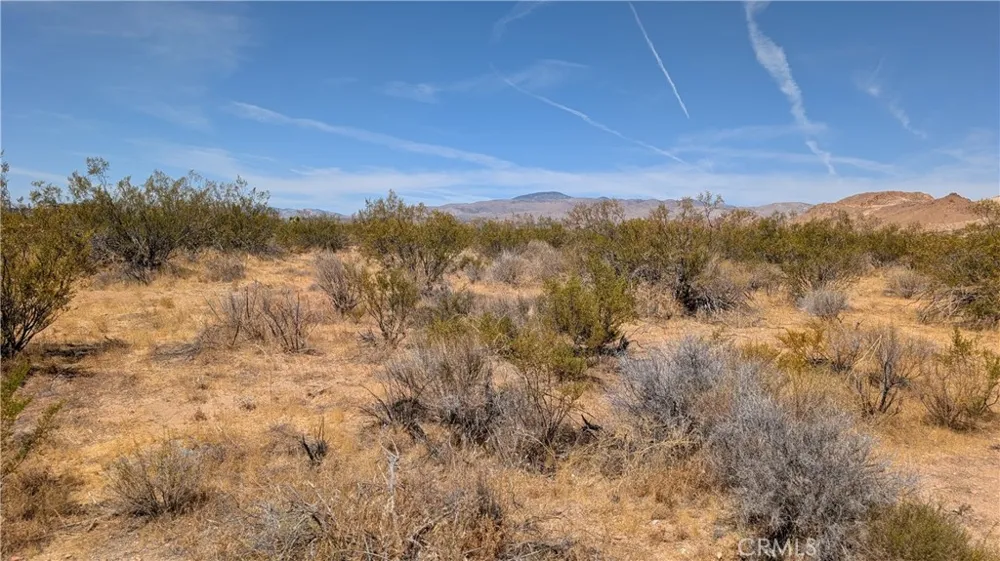 80th Street West Rosamond, CA 93501