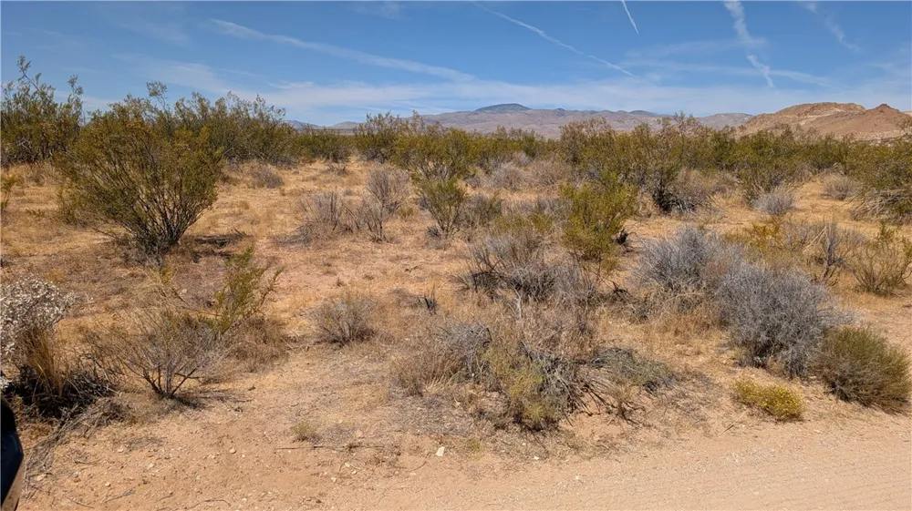 80th Street West Rosamond, CA 93501