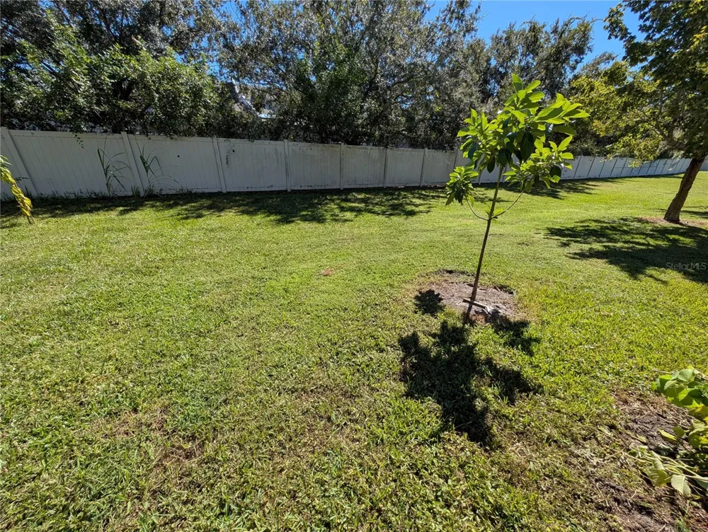 2203 CHATHAM PLACE DRIVE Orlando, FL 32824