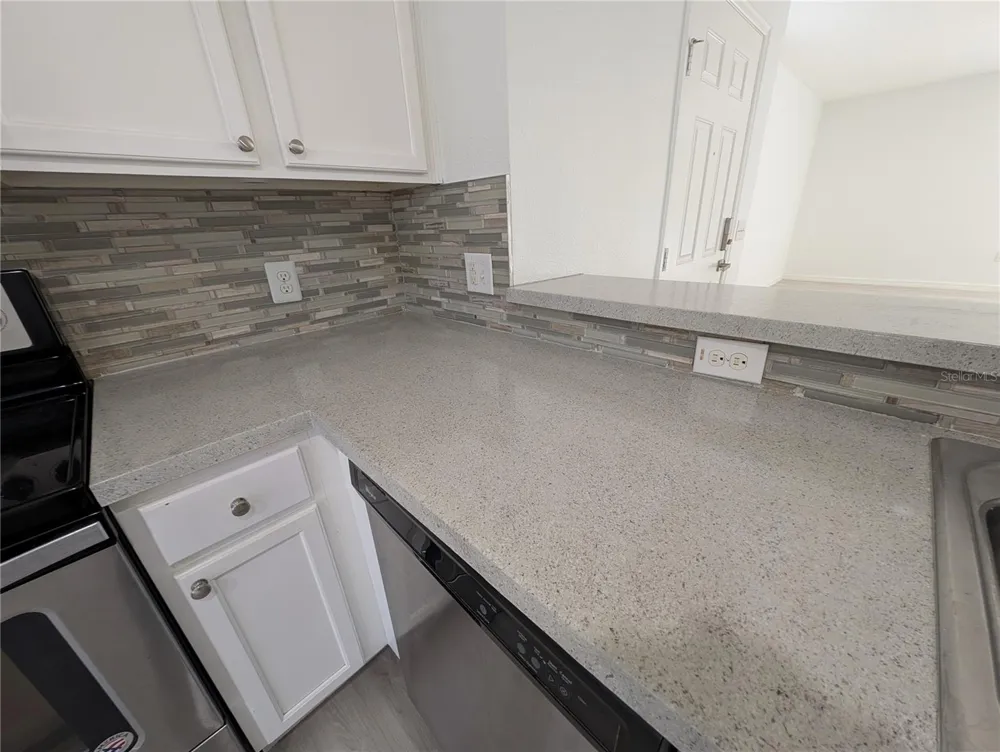 2203 CHATHAM PLACE DRIVE Orlando, FL 32824