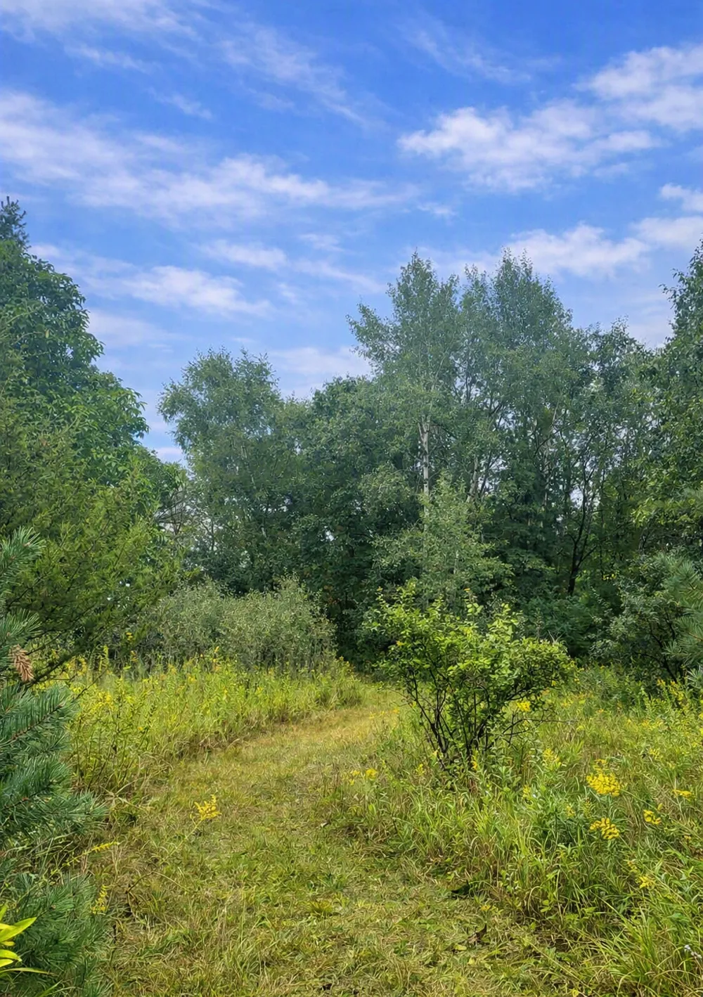 xxxx Jeffrey Boulevard Grant, MN 55082