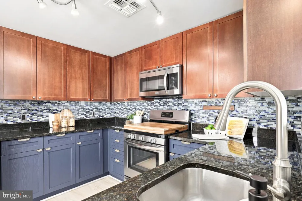 930 WAYNE AVENUE #1305 Silver Spring, MD 20910