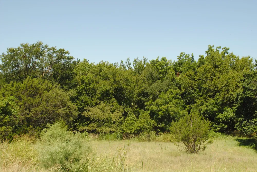 73 109 Goldthwaite, TX 76844
