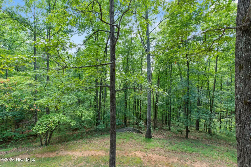 2930 Upper Bell Cr Road Hayesville, NC 28904